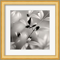 Botanical Study No. 5 Fine Art Print