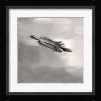 Feather on Liquid Sky Fine Art Print
