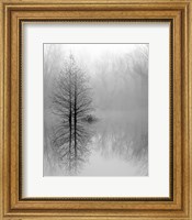 Lake Trees in Winter Fog Fine Art Print