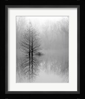 Lake Trees in Winter Fog Fine Art Print