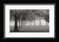 Trees In Early Autumn Fine Art Print