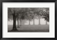 Trees In Early Autumn Fine Art Print