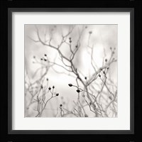Winter Berries Fine Art Print