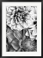 B&W Flower 2 Fine Art Print
