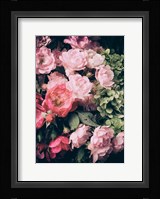 Floral 28 Fine Art Print
