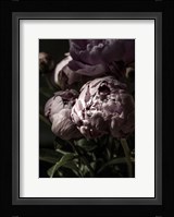 Flower 3 Fine Art Print