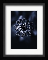 Flower Bloom 2 Fine Art Print