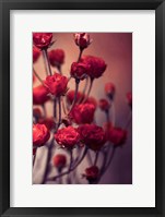 Red Flowers Fine Art Print