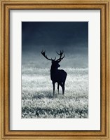 Silhouette Deer Fine Art Print