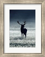 Silhouette Deer Fine Art Print