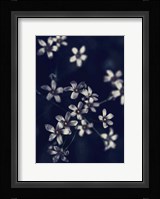 Small Flowers Fine Art Print