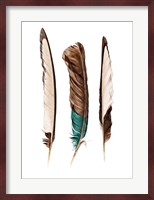 Three Feathers Fine Art Print