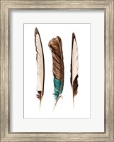 Three Feathers Fine Art Print