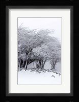 Winter Storm Fine Art Print