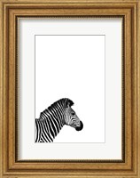 Zebra 2 Fine Art Print