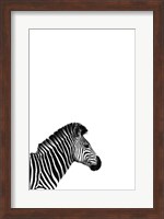 Zebra 2 Fine Art Print