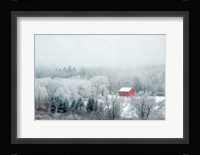 Red Barn Fine Art Print