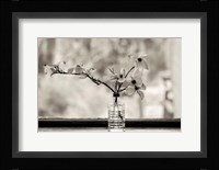Wild Dogwood Fine Art Print
