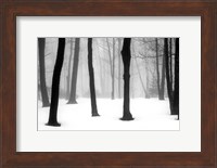 Winter Fog Fine Art Print