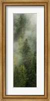 Smoky Forest Panel I Fine Art Print