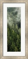 Smoky Forest Panel II Fine Art Print