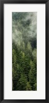 Smoky Forest Panel II Framed Print
