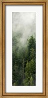 Smoky Forest Panel III Fine Art Print