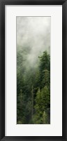 Smoky Forest Panel III Framed Print