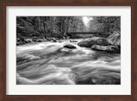 Flow Of The Creek Fine Art Print