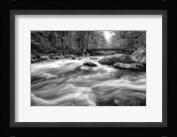 Flow Of The Creek Fine Art Print