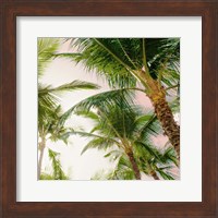 Bright Oahu Palms I Fine Art Print
