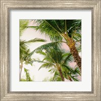 Bright Oahu Palms I Fine Art Print