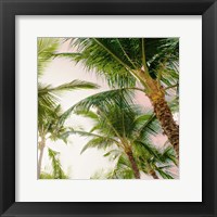 Bright Oahu Palms I Fine Art Print