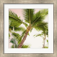 Bright Oahu Palms II Fine Art Print