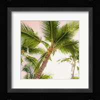 Bright Oahu Palms II Framed Print