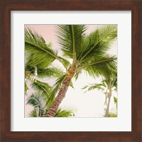 Bright Oahu Palms II Fine Art Print