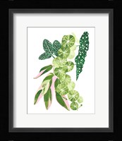 Green Thumb I Fine Art Print