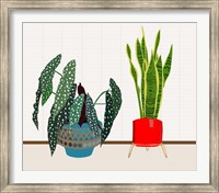 Potted Plant Friends I Fine Art Print