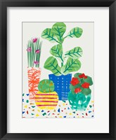 Patio Plants Fine Art Print