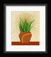 Snake Plant Fine Art Print
