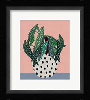 Plant in Dotted Pot Fine Art Print