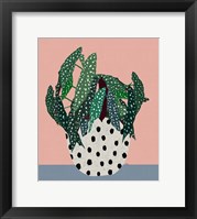 Plant in Dotted Pot Fine Art Print