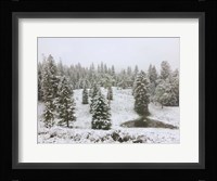Dusting of Snow Fine Art Print