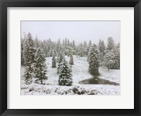 Dusting of Snow Fine Art Print