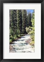 Mountain River Fine Art Print