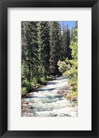 Mountain River Fine Art Print