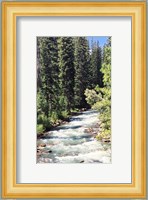 Mountain River Fine Art Print