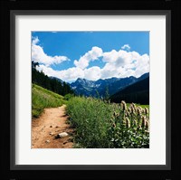 Lovely Path Fine Art Print