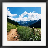 Lovely Path Fine Art Print