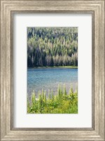 Hidden Lake Fine Art Print